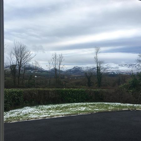 Laurel Lodge Cill Airne Esterno foto