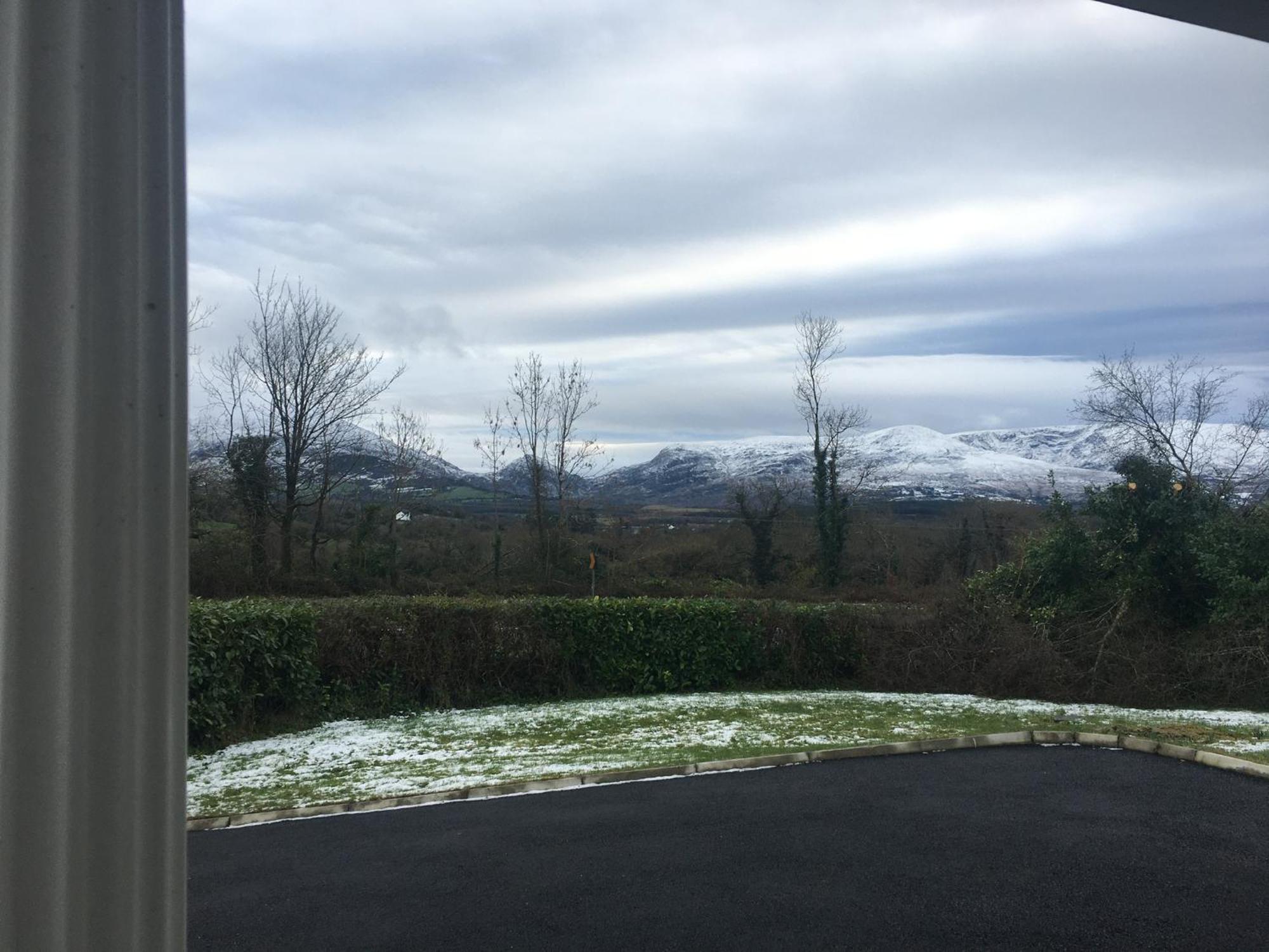 Laurel Lodge Cill Airne Esterno foto