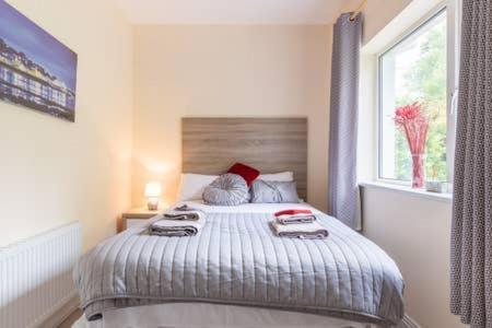 Laurel Lodge Cill Airne Esterno foto