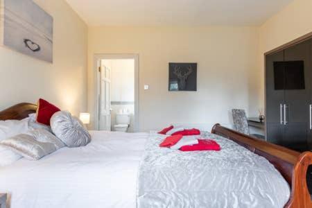 Laurel Lodge Cill Airne Esterno foto